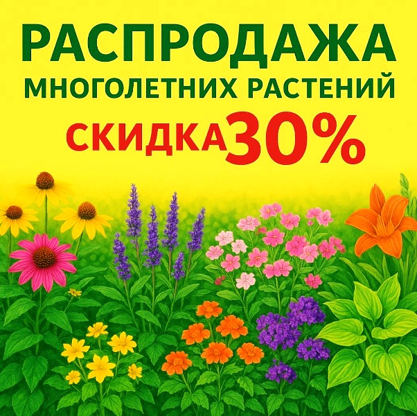 Скидка 30% на многолетние растения 