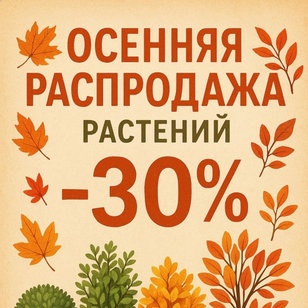 Осенняя распродажа растений 30% питомника 2025