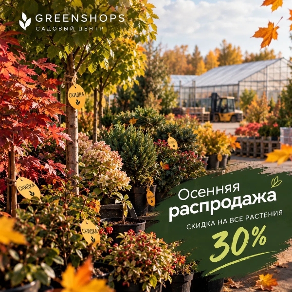 Осенняя акция 2026