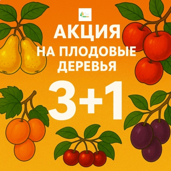 Акция на плодовые деревья 3-4 лет в питомнике ГринШоп