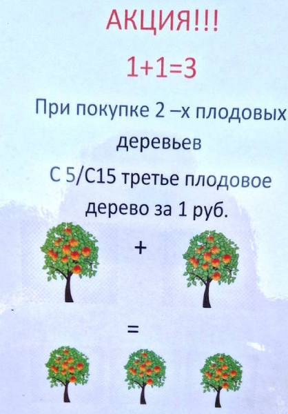 Акция на плодовые деревья в контейнере С7-С35 в питомнике Грин Шоп