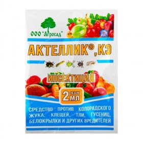 aktelik